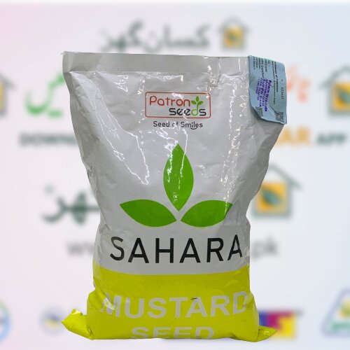 Super Raya 2kg Sahara Super Mustard Seed Sarsoon Beej Seed Toria Rai Seed Nuchem Patron Seeds Oil Crop Sahara Mustard