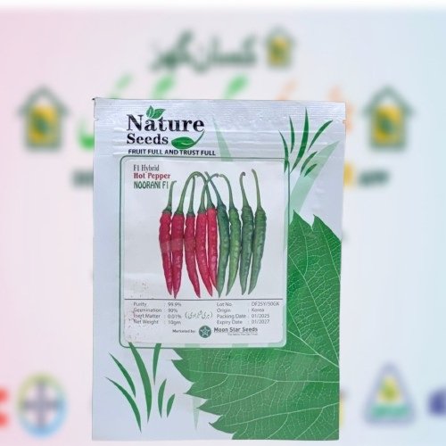 Chilli Noorani F1 10gm Moonstar  Vegetable Hybrid Seed Mirch Beej Hot Pepper Shehzadi Chili Seed Moon star