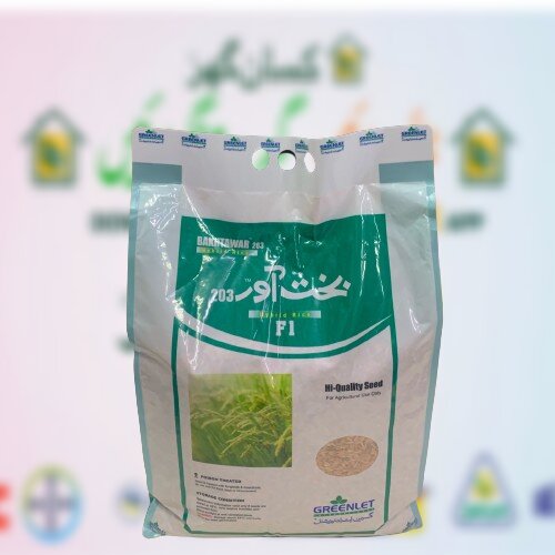Bakhtawar 203 Hybrid Rice F1 5kg White Greenlet International Mungi Seed Paddy Seed