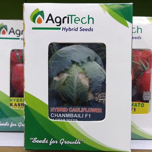 Hybrid Cauliflower Chanmbaili F110 Gram Seeds Agritech Phool Gobi