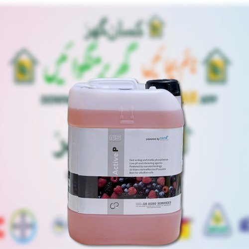 Active P 10Liter High Phosphorus Power by Nano technology for all crops and plants Liquid Phosphorus, Nitrogen and potassium Kissan Ghar Fertilizer and foliar spray NS nutri science