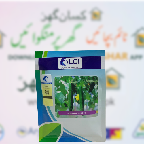 Advanta 1102 F1 ICI Sponge Gourd Tori 50gm LCI Lucky Core Industries New Pack Kali Tori 1102