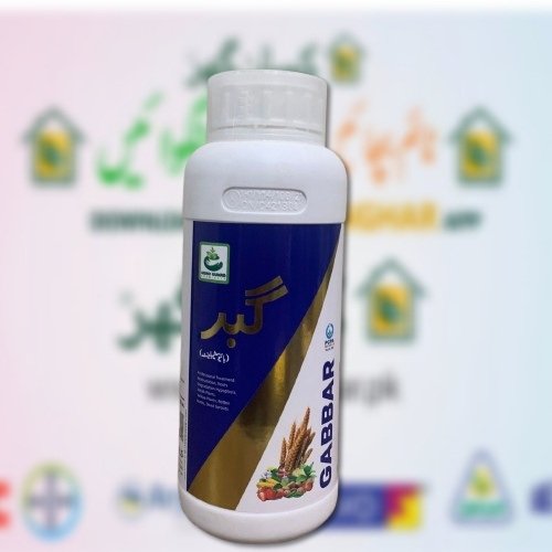 Gabbar 500ML Bio stimulant foliar spray Mal Nutrition, Roots degradation hypoplasia, weak plants, Yellow Plants, Rotten roots, Dead sprouts Agro Guard