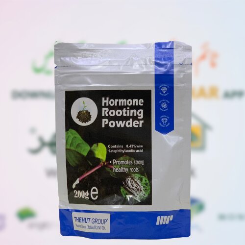 Hormone Rooting Powder Naphthylacetic Acid 0.43 Healthy Roots 200gm Thehut Group Uk