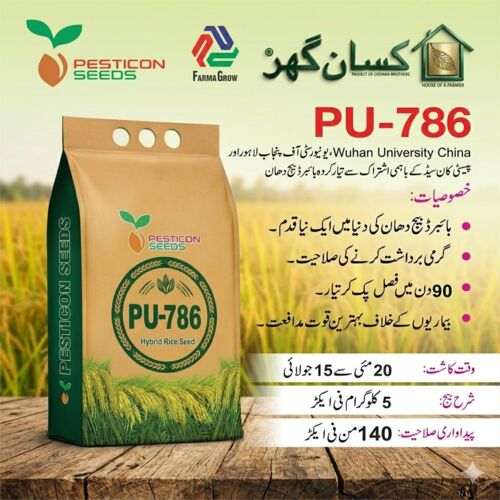 PU786 5KG Hybrid Rice Seed PU 786 – High Yield & Heat Tolerant | پنجاب یونیورسٹی 786 ہائبرڈ چاول کا بیج Punjab University And China PU 786