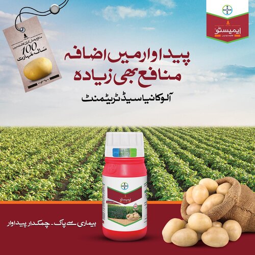 2nd Emesto 24FS 160ml Penflufen 240FS Potato Bayer Crop Science For Seed Treatment Potato Seed Emisto Prime