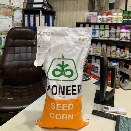 P3875 Corn Seed 35000 Kernels Pioneer Corteva Best for Grains and silage 