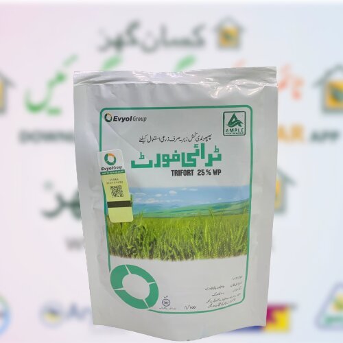 Trifort 25wp Triadimefon 100gm Evyol Group Ample Agro Kanzo Ag Pharma