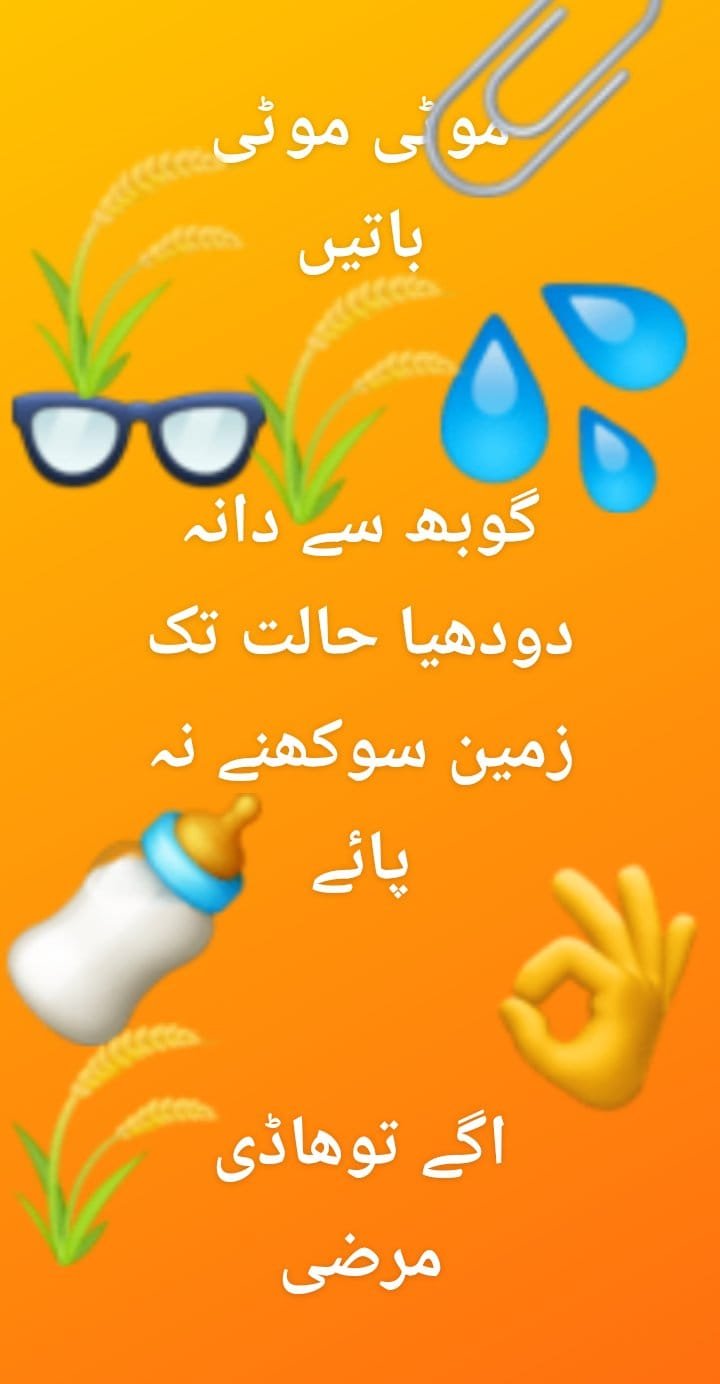 WHEAT-  GANDUM گندم ۔کنک  production and protection technology