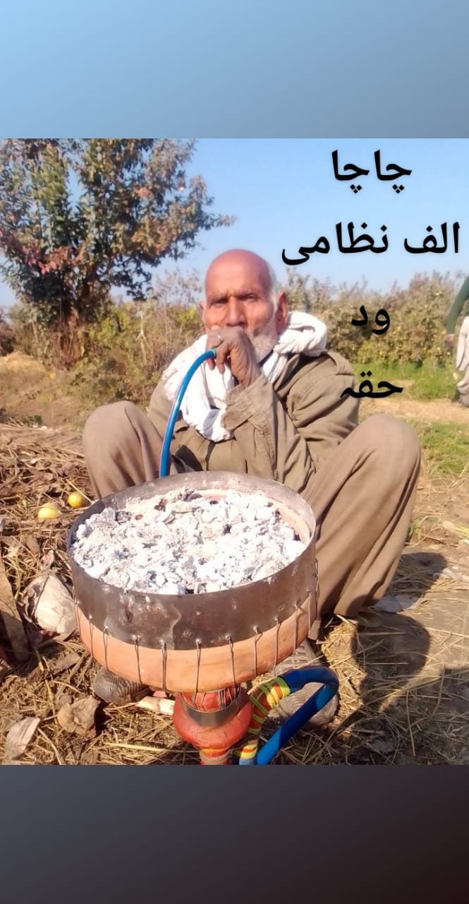 OWDC  organic waste decomposer