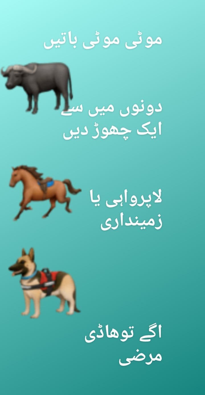 Different ways of cultivation / Ø·Ø±ÛŒÙ‚Û Ú©Ø§Ø´Øª