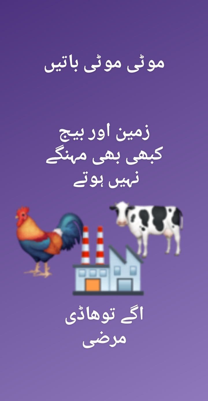 Ø§Ø¯Ø±Ú© (Ginger Crop)